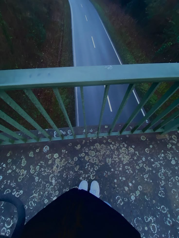 a person standing on the edge of a bridge looking down at a road and trees