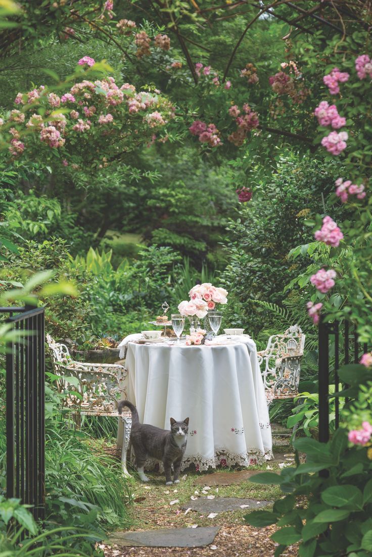 a cat standing next to a table in the middle of a lush green garden with pink flowers