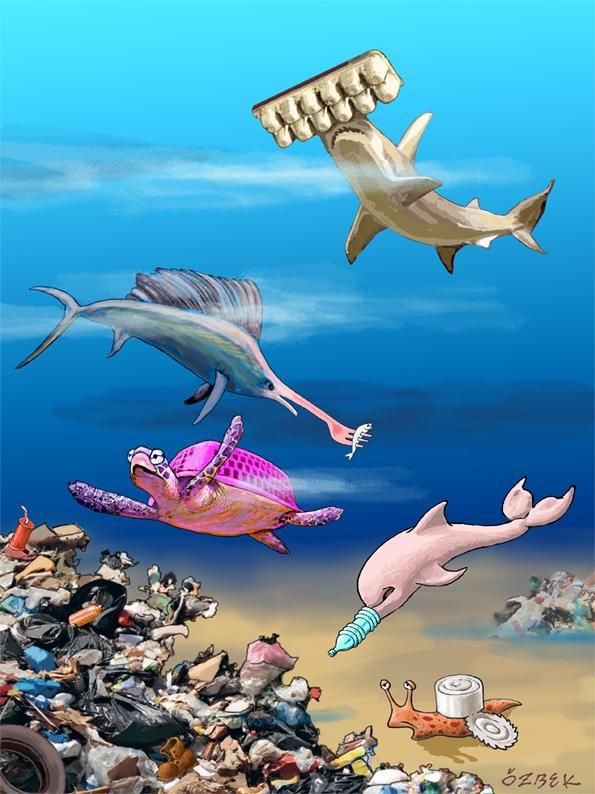 an image of many different animals in the ocean with trash on the bottom and below