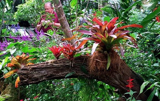 a man sitting on a bench in the middle of a lush green forest filled with flowers