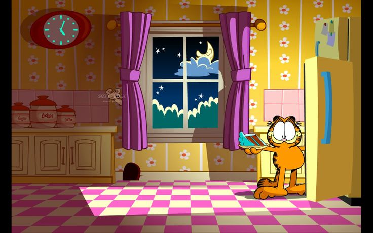 an orange cat standing in a kitchen next to a pink checkered floor and window