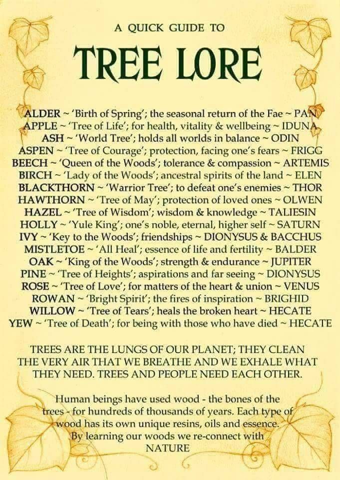 the tree lore is written in an old style with leaves and other things on it