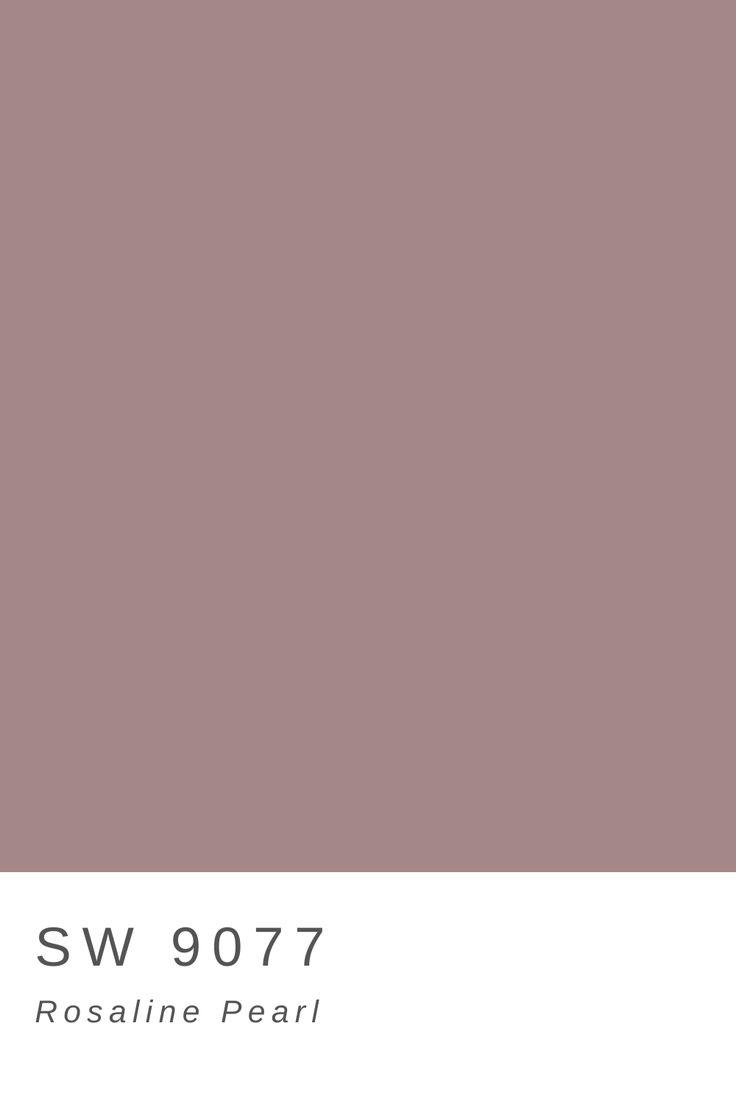 an image of a brown color that is in the style of sw9077