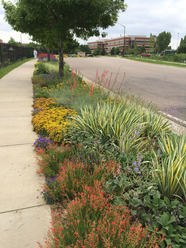 the sidewalk is lined with colorful flowers and plants next to the road in front of an apartment building