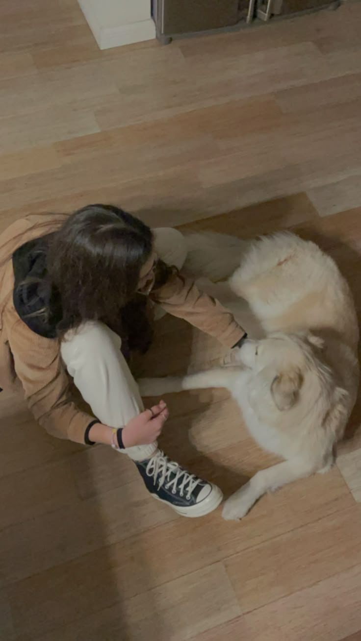 a woman is playing with two dogs on the floor