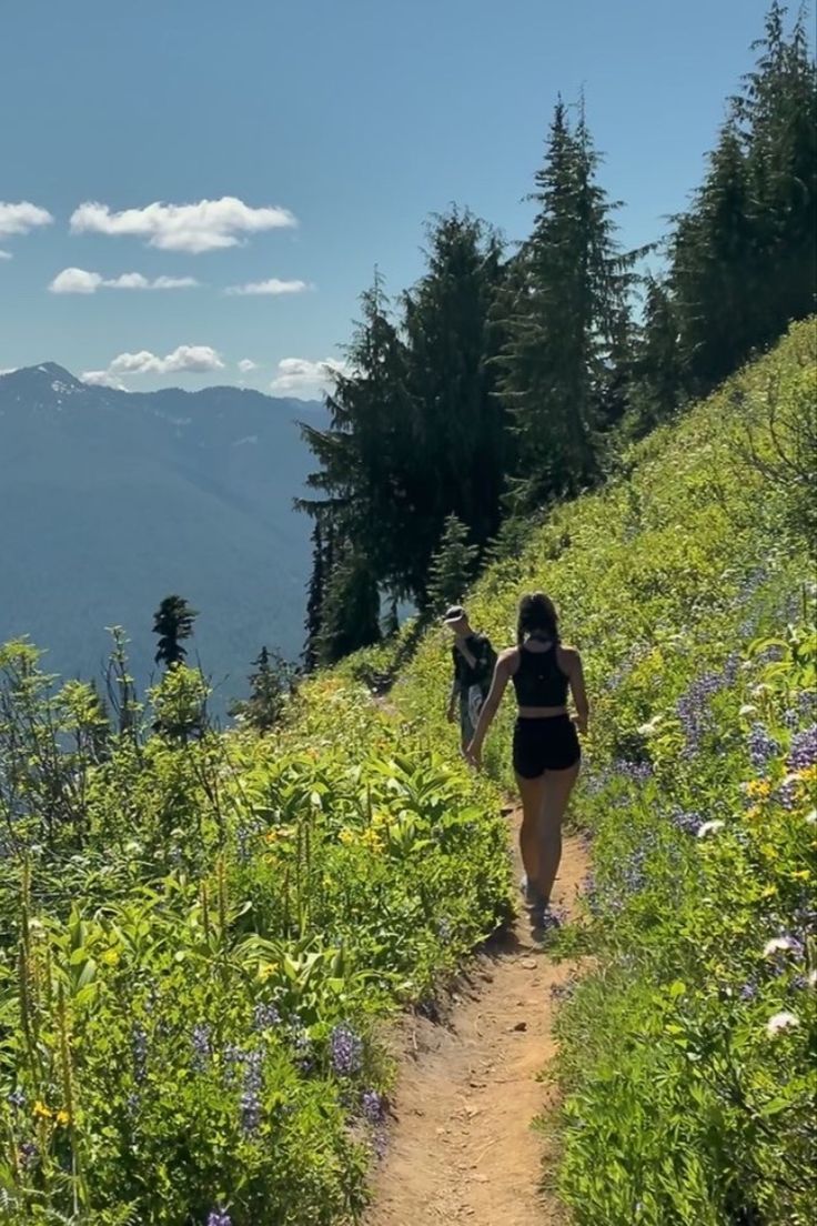 two people walking up a hill with mountains in the background and wildflowers on either side