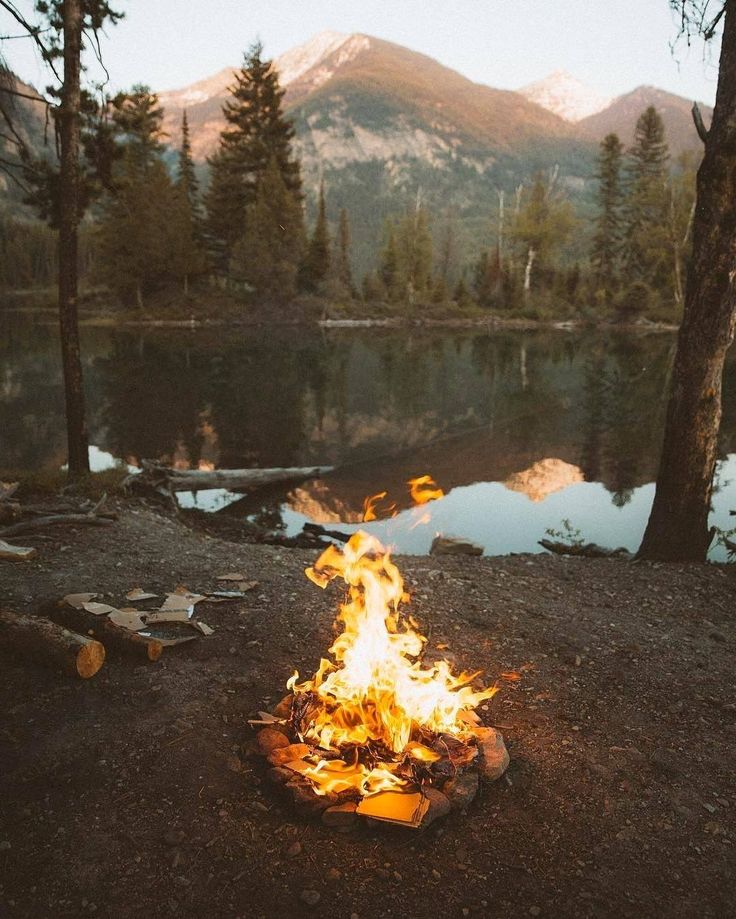 a campfire burning in the middle of a forest next to a body of water