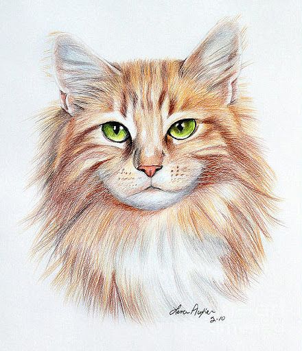 a drawing of a cat with green eyes