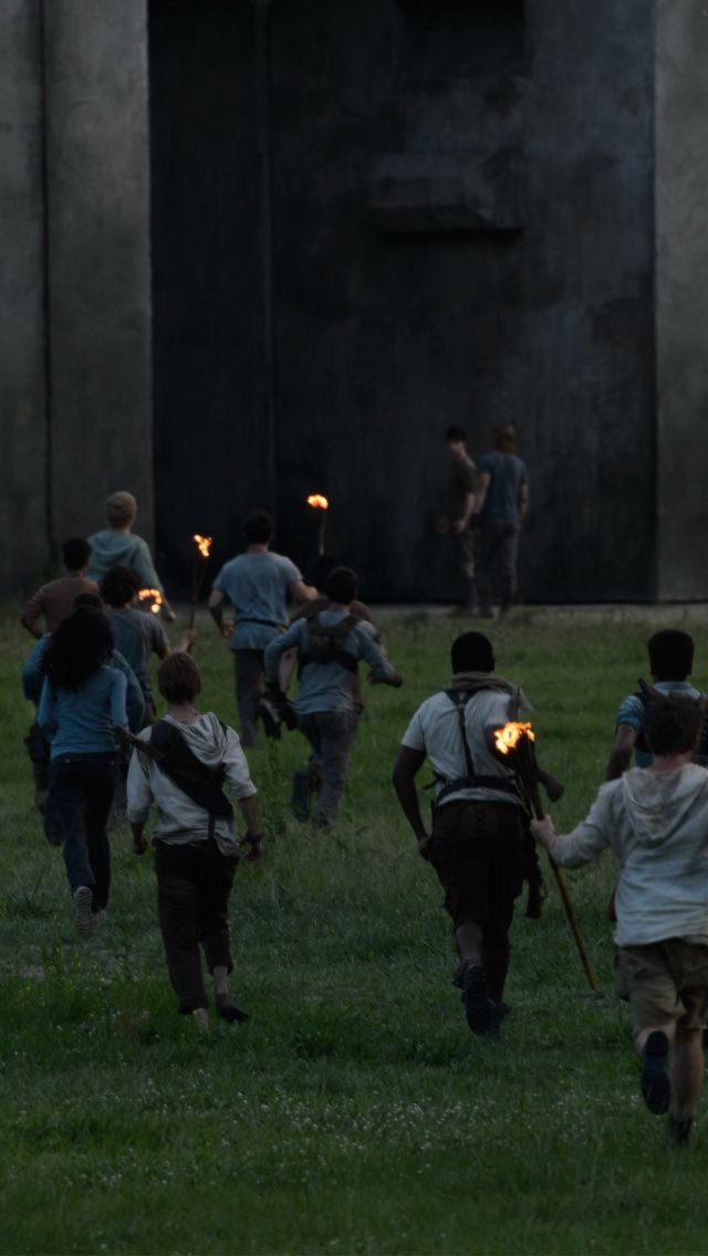 a group of people walking across a lush green field with torches in their hands,