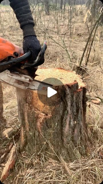 a person using a chainsaw to cut down a tree