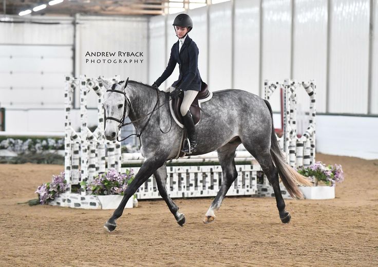 a woman riding on the back of a gray horse in an indoor arena with white pillars