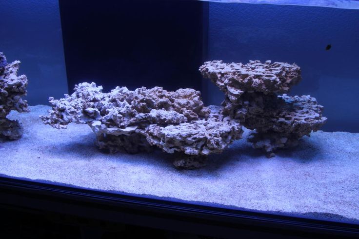 an aquarium filled with rocks and water