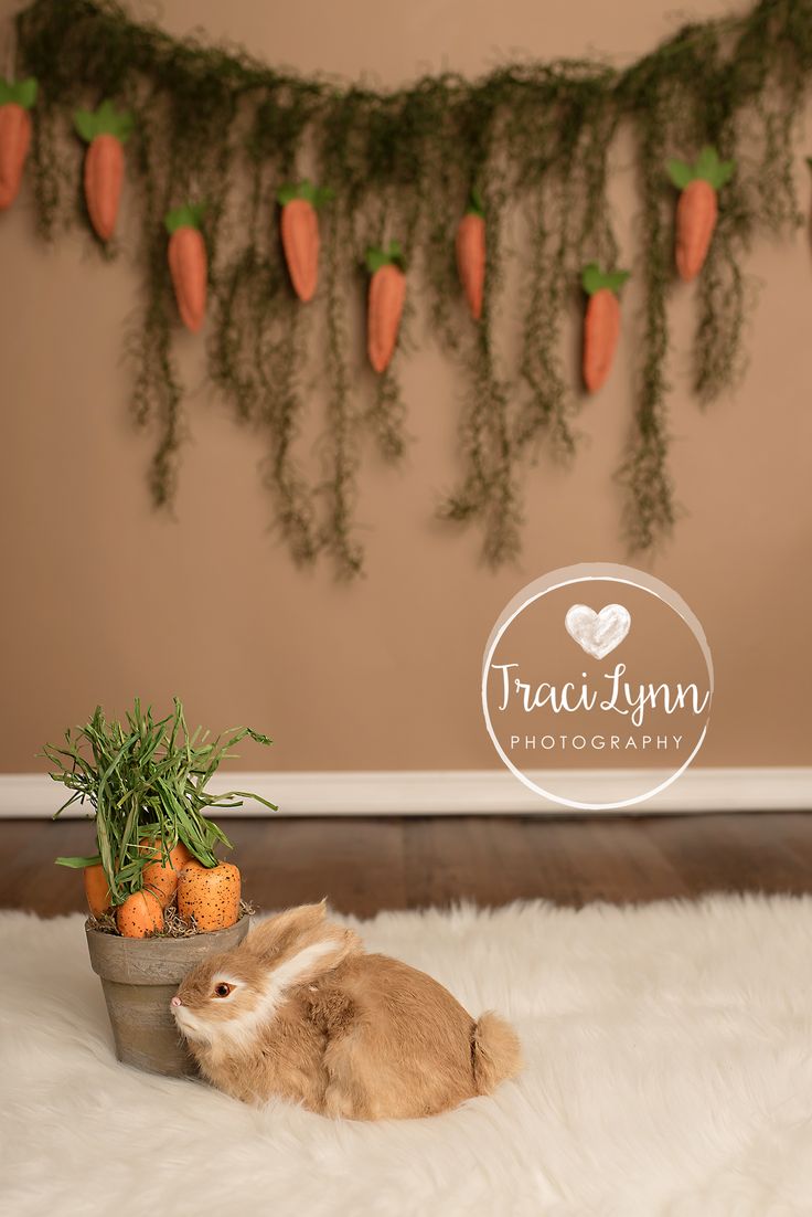 a rabbit is sitting next to a potted plant on a white rug in front of a wall with carrots hanging from it