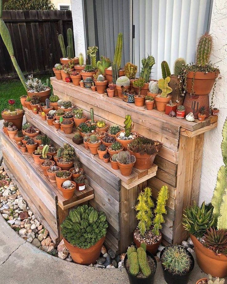 many potted plants are lined up on a wooden shelf in front of a house