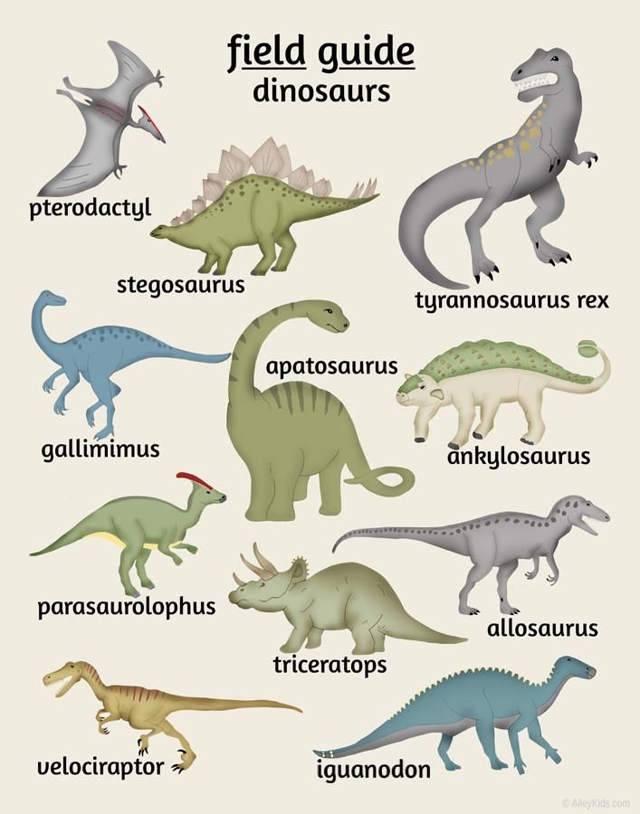 an image of different types of dinosaurs in english and spanish language, with the words field guide dinosaurs