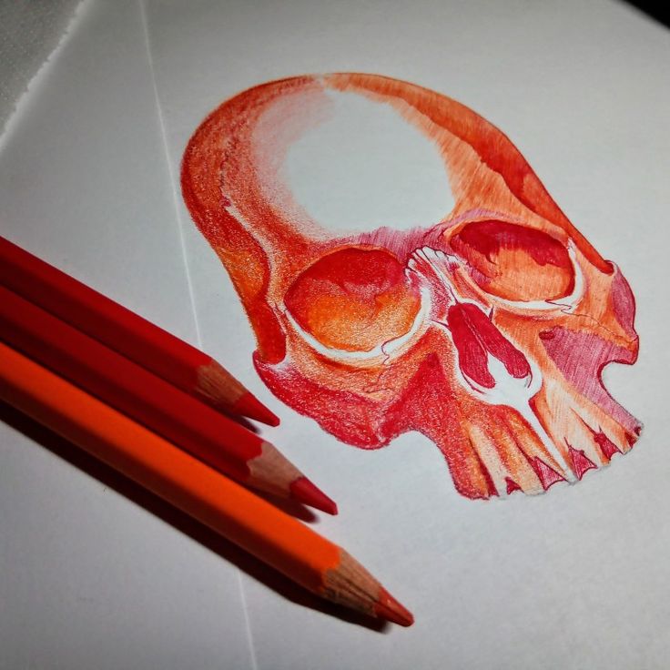 a drawing of a human skull and two pencils