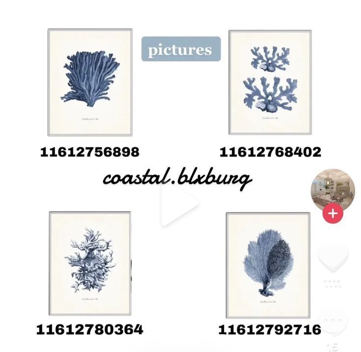 four different types of seaweed are shown in blue and white colors, with the words pictures