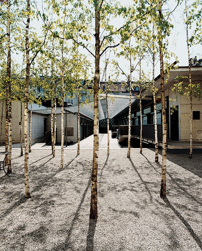 the trees are casting long shadows on the concrete floor and building in the back ground