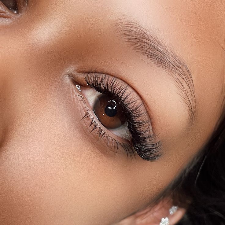 Volume Lashes Cat Eye, Classic Cat Eye Lash Extensions D Curl, Hybrid Cat Eye Lash Extensions D Curl, Light Volume Lashes Cat Eye, Classic Lashes, Light Hybrid Lashes Cat Eye, Fake Lashes Makeup, Lashes Fake Eyelashes, C Curl