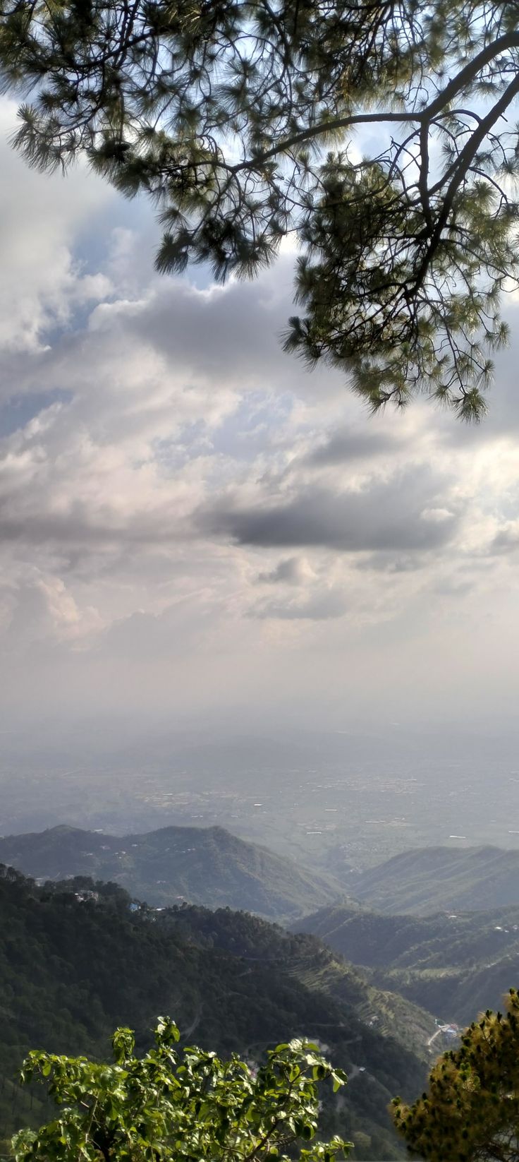 a view from the top of a mountain with trees and mountains in the distance under a cloudy sky