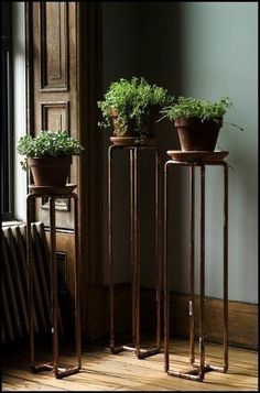 three potted plants sitting on top of metal plant stands in front of a window