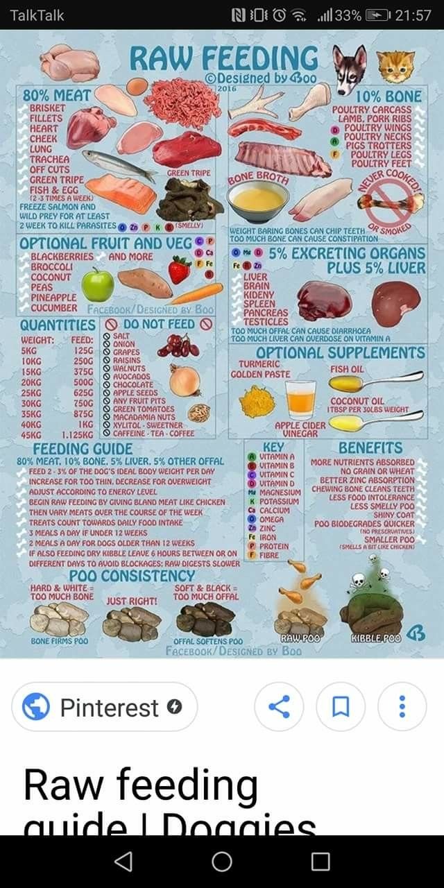 an image of raw feeding guide for dogs and cats on the app store's website