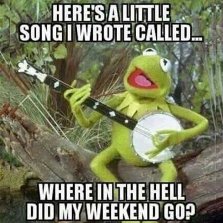 kermie the frog holding a guitar and singing in front of trees with caption that says, here's a little song i wrote called where in the hell did my weekend go?