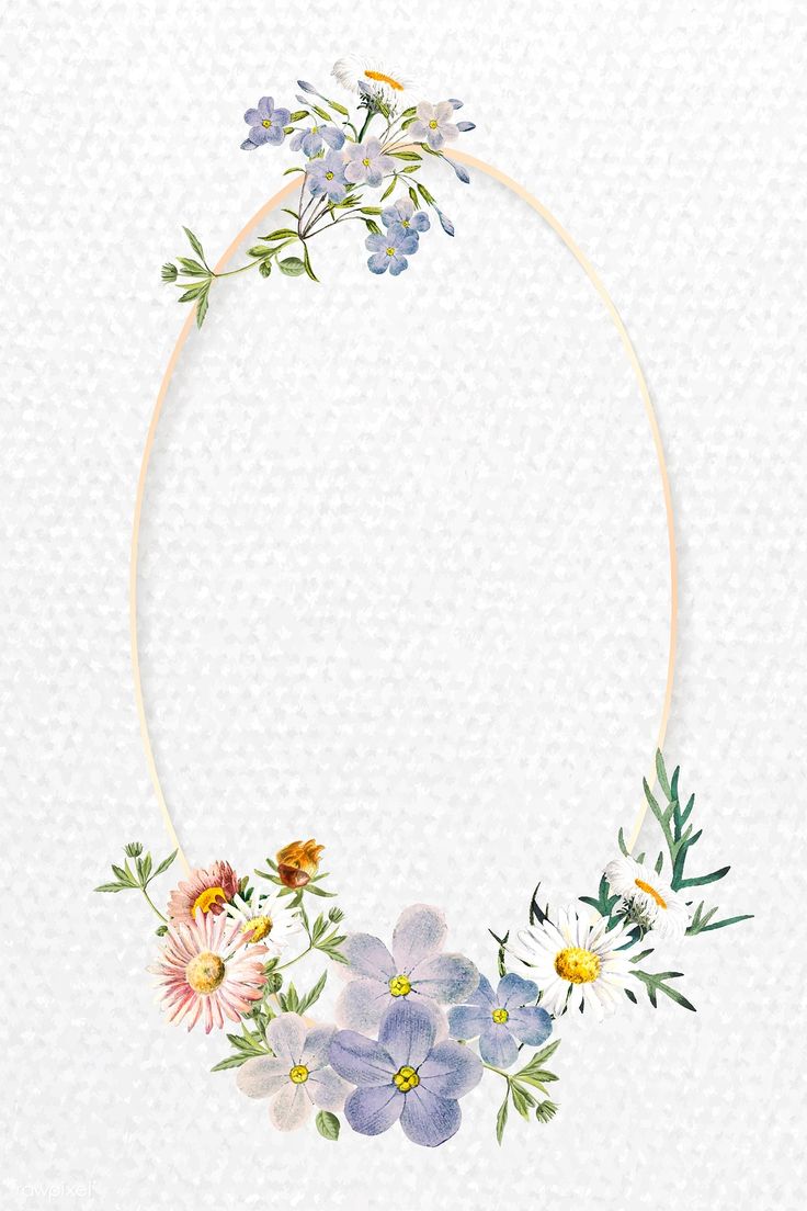 Blank floral oval frame vector | premium image by rawpixel.com / nunny ...