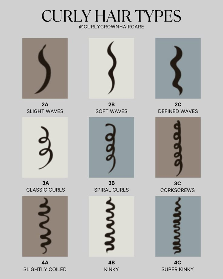 Curly Hair Type Infographic hair types explained type 2 wavy type 3 curly tyoe 4 coily How To Tell Your Hair Type, 3 A Hair Type, How To Know Hair Type, How To Know My Hair Type, 3 A Curly Hair, Hair Type Chart African Americans, How To Know Your Hair Type, Type 3a Curly Hair, Types Of Wavy Hair