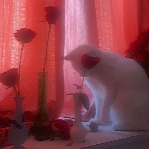 a white cat sitting on top of a table next to vases filled with flowers