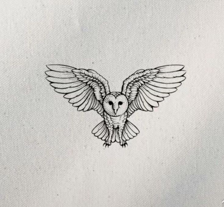 an owl tattoo on the back of a shirt