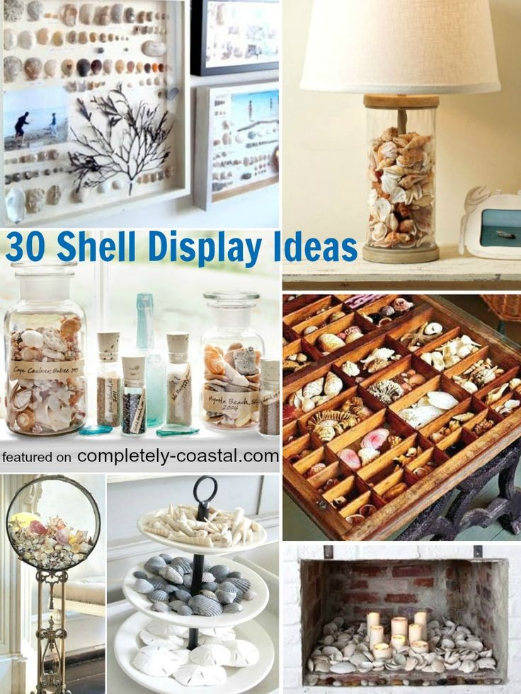 there are many shells and other items in this collage with the words 30 shell display ideas