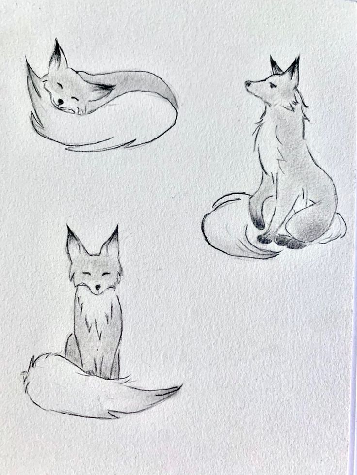 three drawings of foxes sitting on top of each other, one is looking at the camera