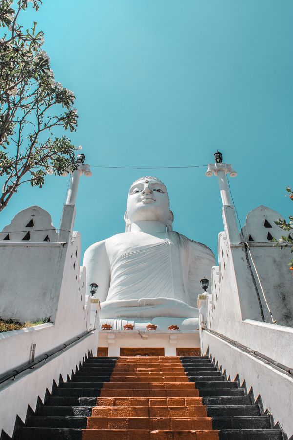 stairs leading up to a large white buddha statue