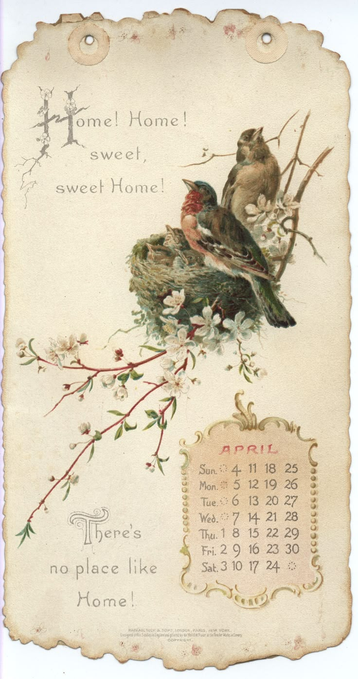 an old fashioned postcard with birds on it's nest and the words home is sweet, sweet home