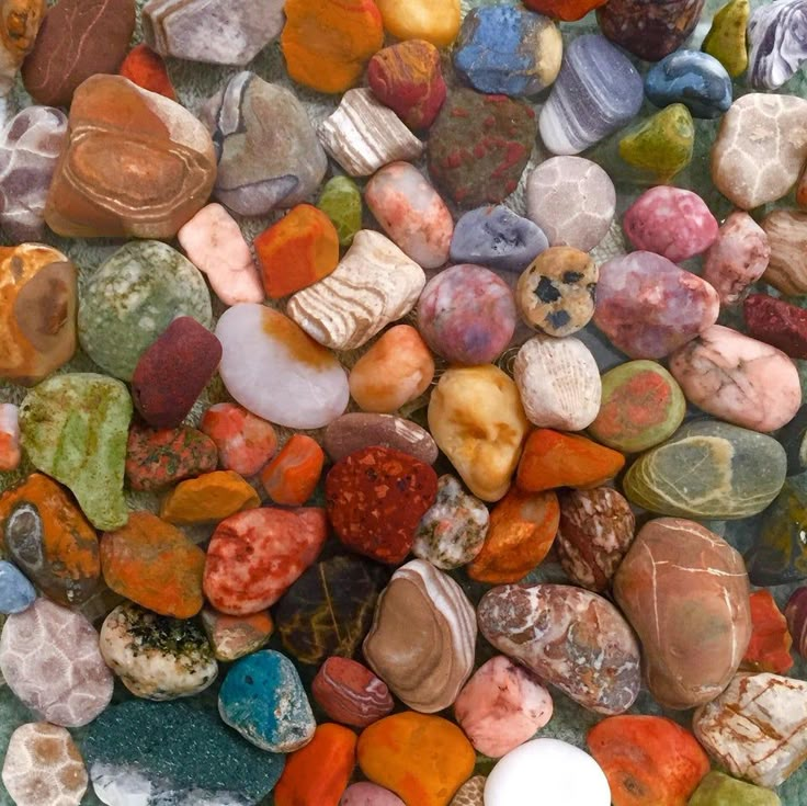 Michigan Rocks, Rock Collecting, Notice Me, Rock Hunting, Pretty Rocks, Cool Rocks, Mia 3, Rock Collection, Rocks And Gems