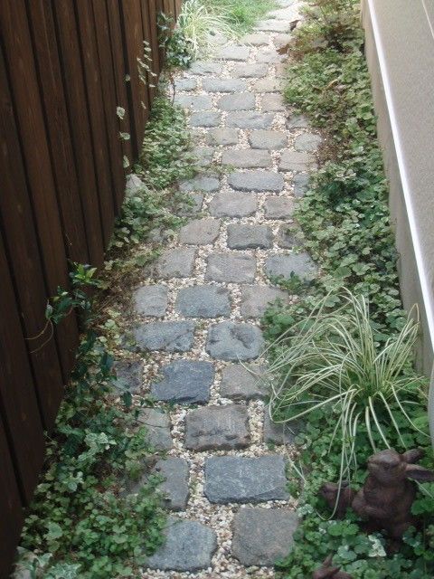 a stone path between two wooden fences with plants growing on the sides and in between them