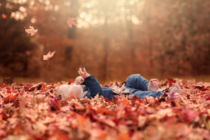 two children laying on the ground with autumn leaves in front of them and one child reaching up