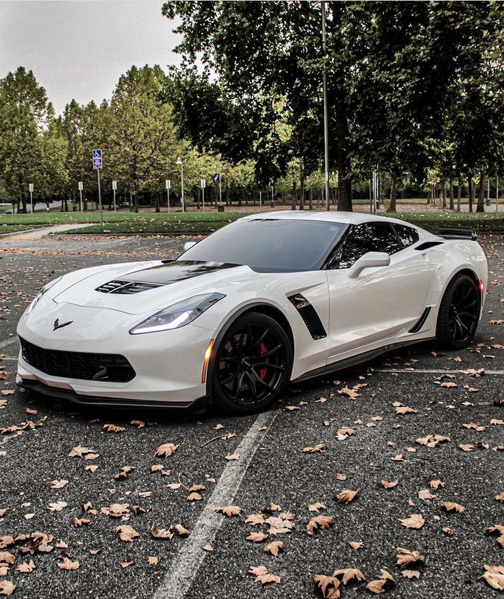 a white sports car parked in a parking lot with leaves on the ground and trees behind it