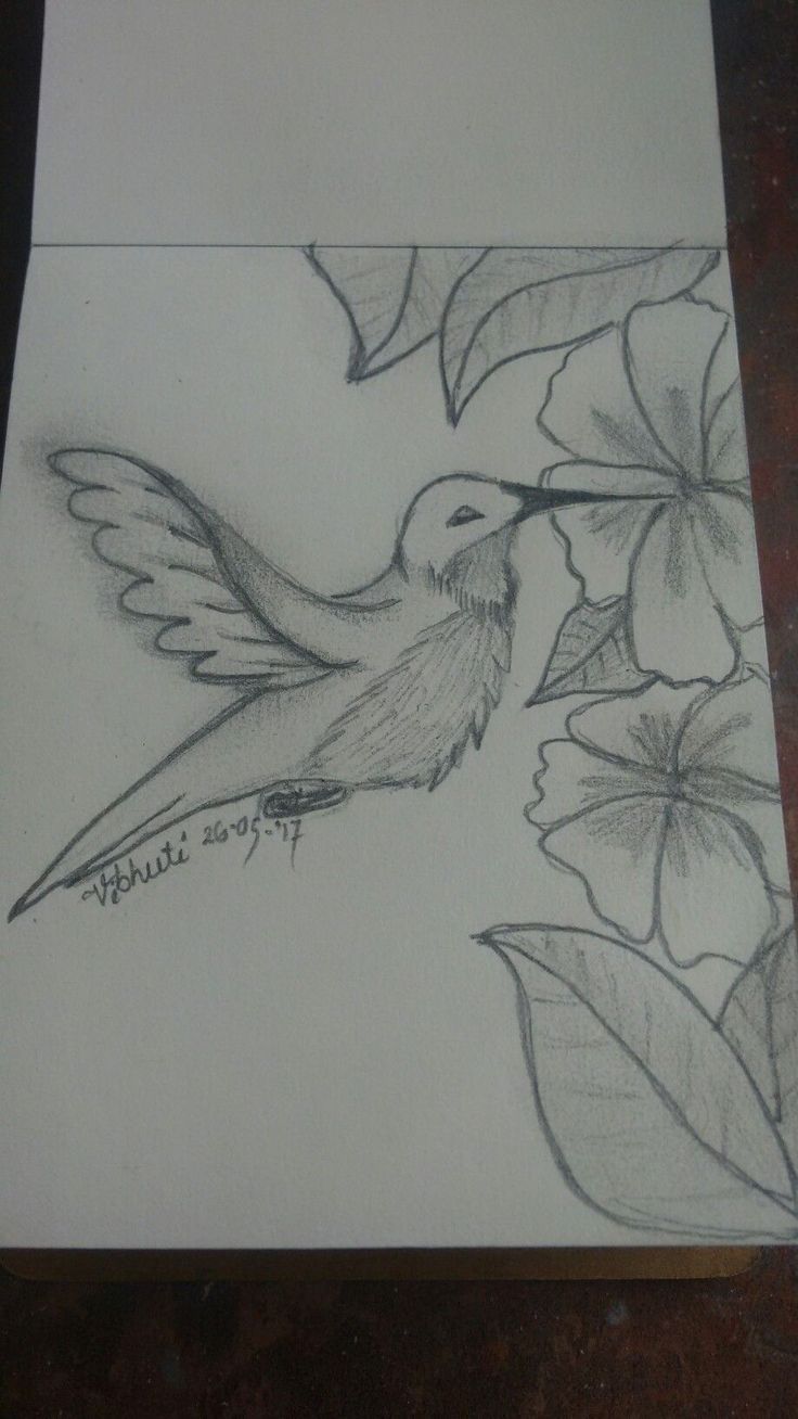 a pencil drawing of a hummingbird and flowers