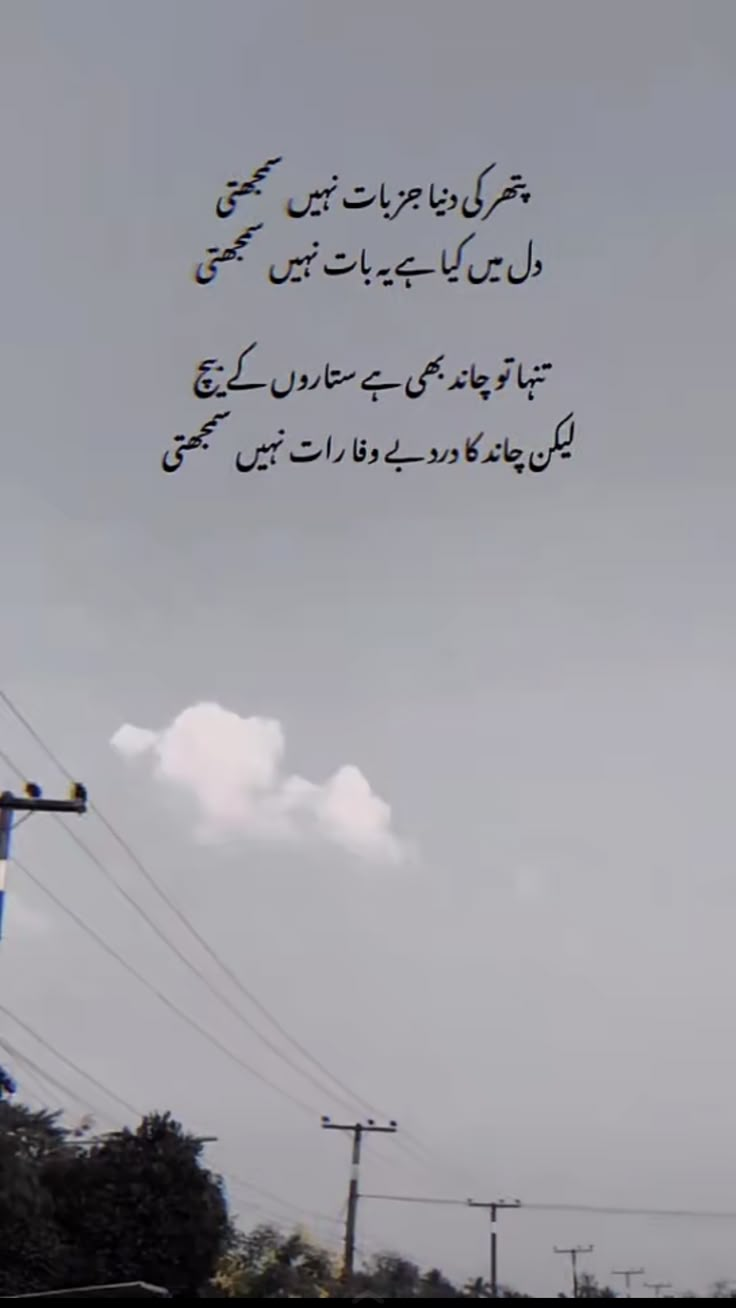 the sky is very cloudy and there are many power lines in arabic writing on it