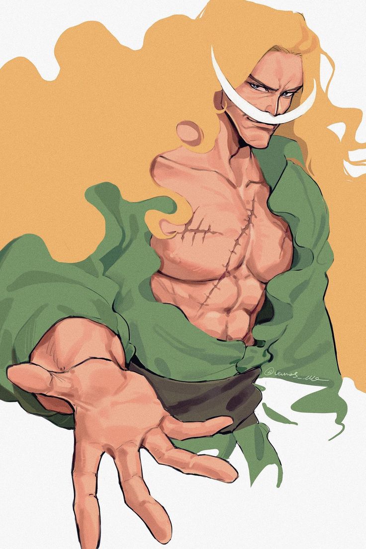 One piece Barba Blanca One Piece, Whitebeard One Piece, Barba Branca One Piece, Doflamingo Wallpaper, One Piece Crew, One Piece Drawing, One Piece Images, One Piece Comic, One Piece Pictures