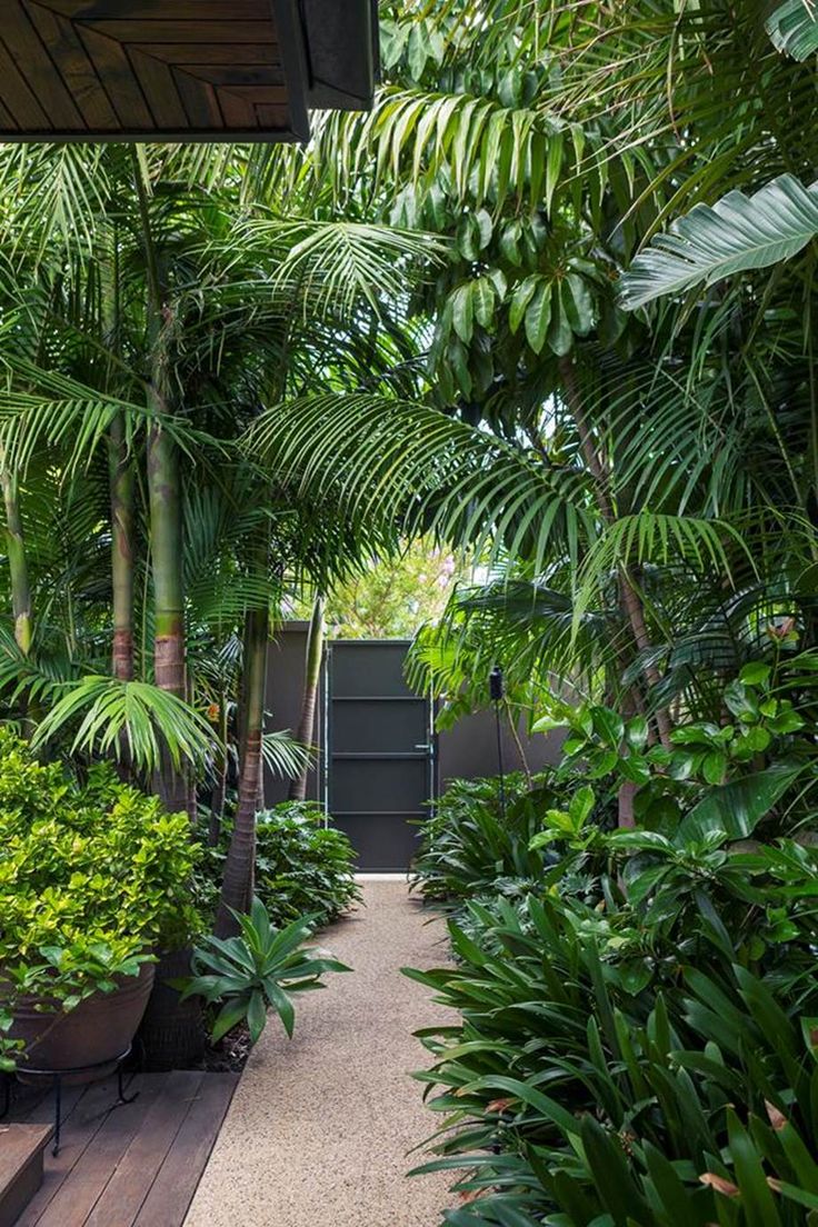 an outdoor area with lots of plants and trees in the center, along with a wooden walkway