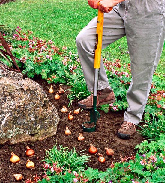 a man is digging in the ground with a shovel and some potatoes on the ground