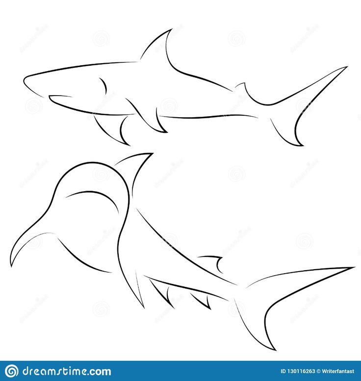 two sharks swimming together in the ocean, one black and white outline on a white background