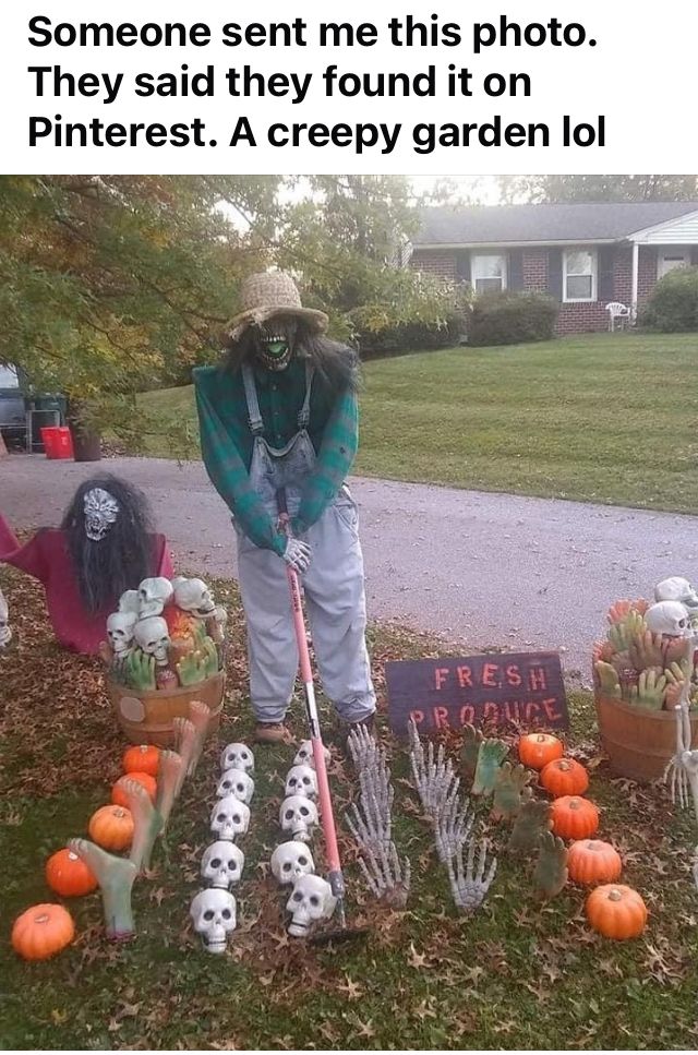 someone sent me this photo they said they found it on pinterest a creepy garden lol