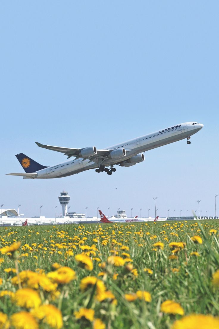 an airplane is taking off from the airport runway with yellow flowers in the foreground