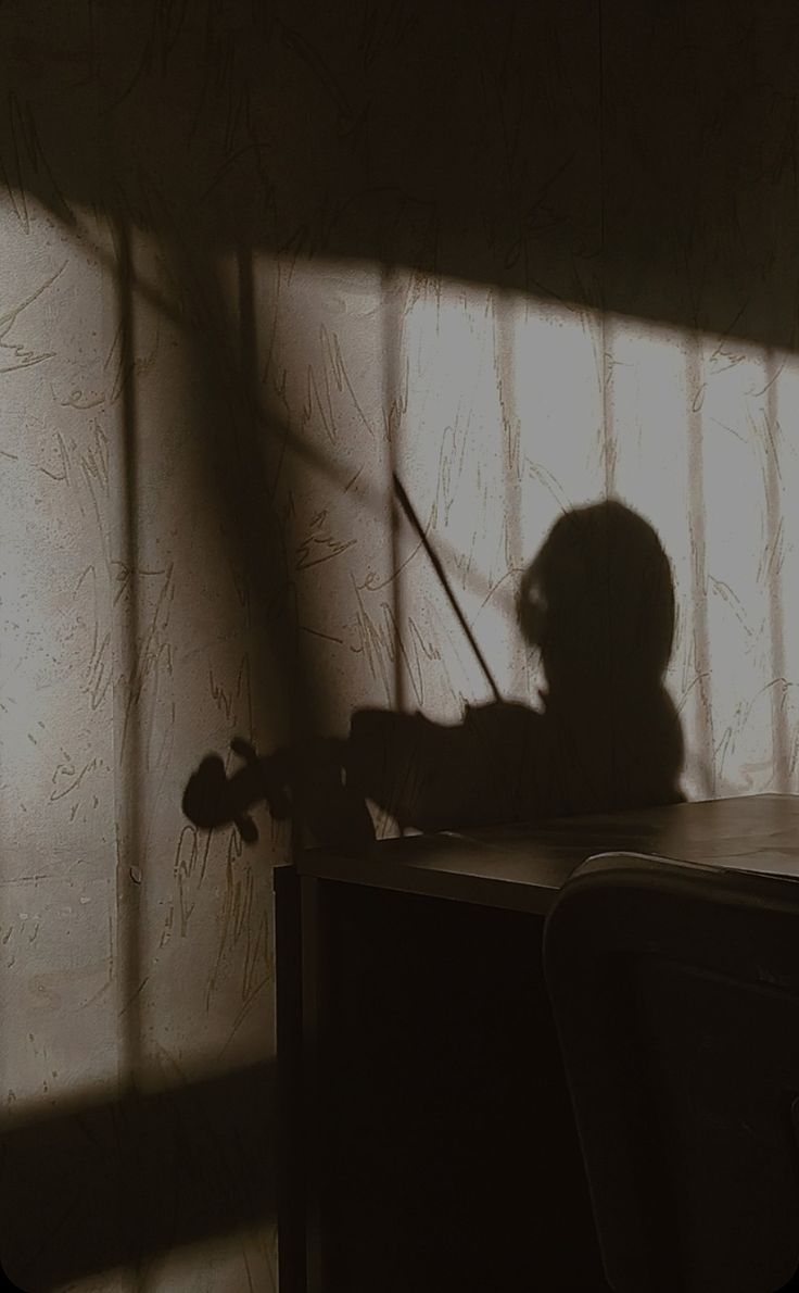 the shadow of a person holding a violin in front of a desk with a chair