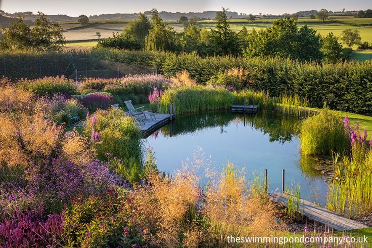 a pond surrounded by lots of flowers and greenery in the middle of a field