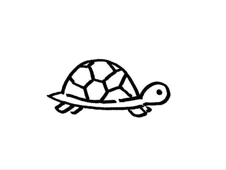 a black and white drawing of a turtle